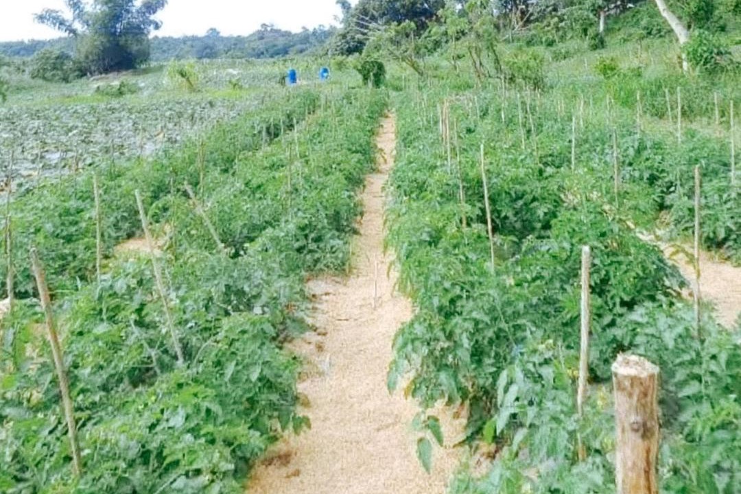 Photo of Outdoor in Tuguegarao