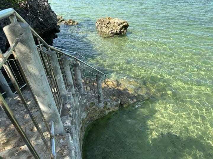 Photo of Others in Moalboal