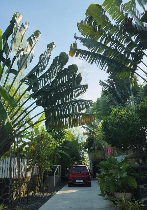 Photo of Outdoor in Santo Domingo