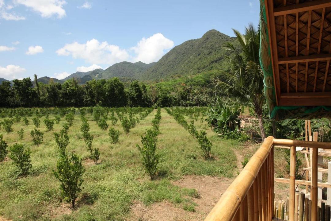 Photo of Others in Tanay