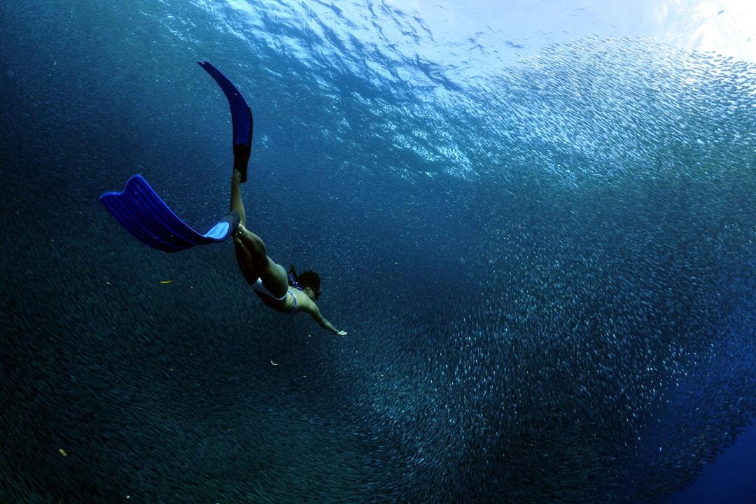 Photo of Others in Moalboal