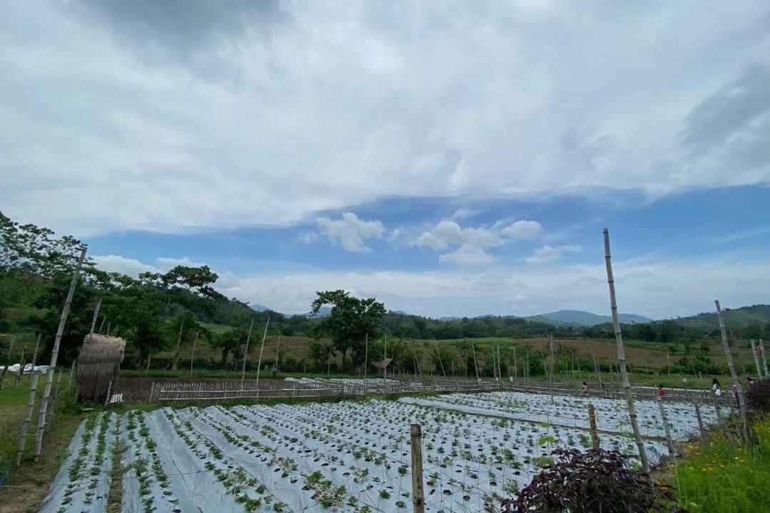 Photo of Others in Pulot