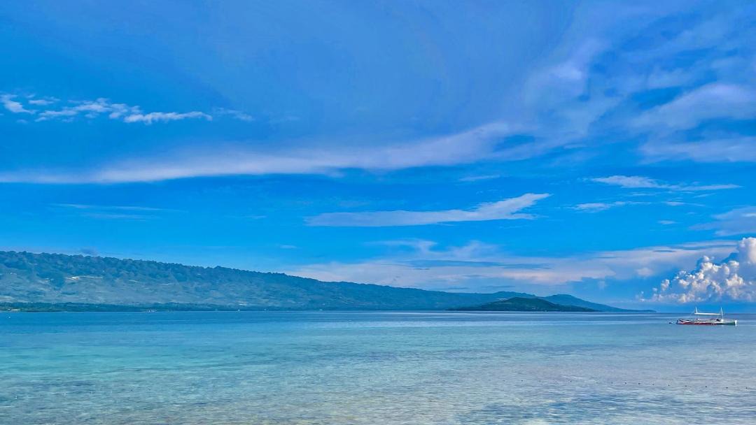 Photo of Others in Moalboal