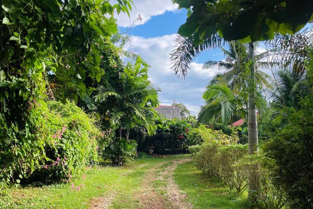Photo of Outdoor in San Juan