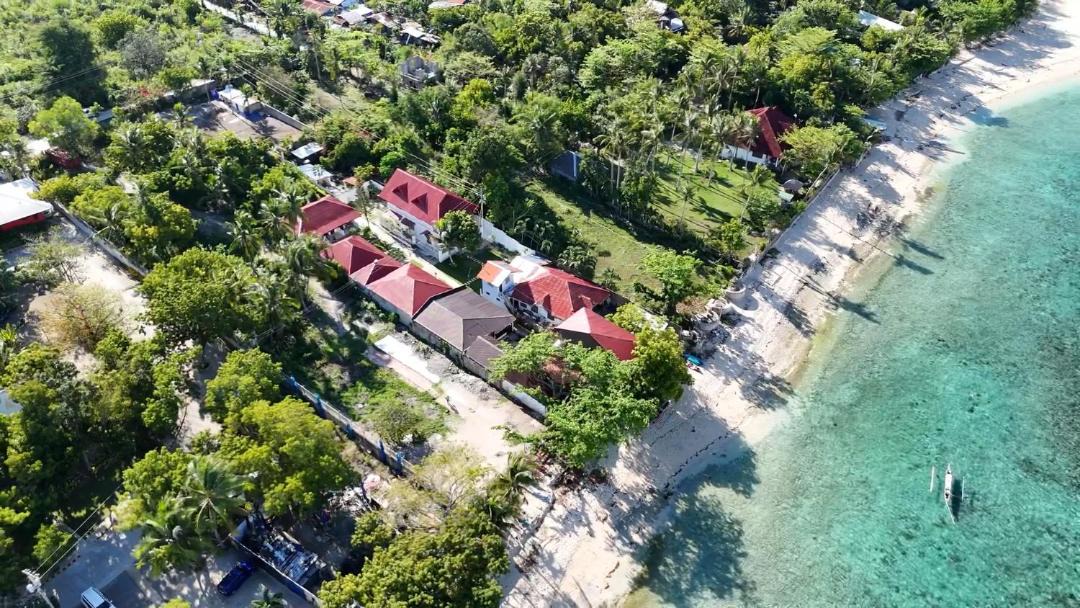 Photo of Others in Moalboal