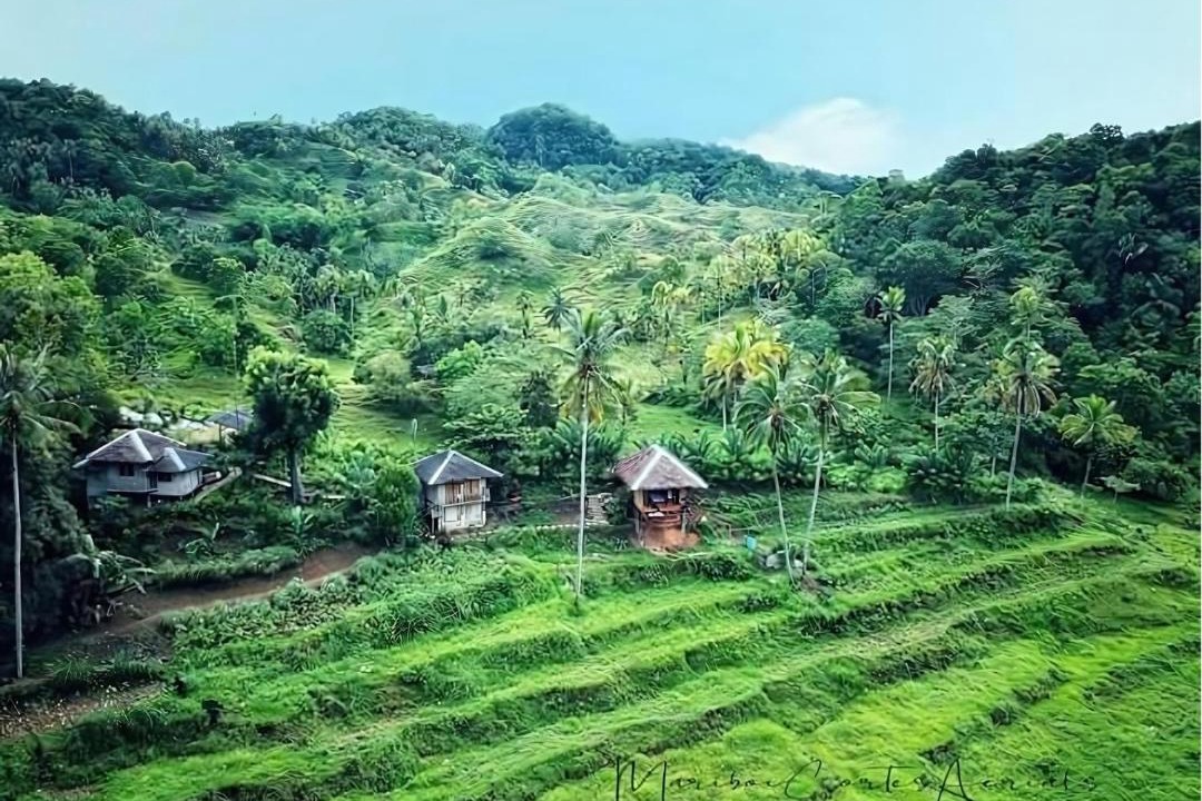 Photo of Others in Siquijor