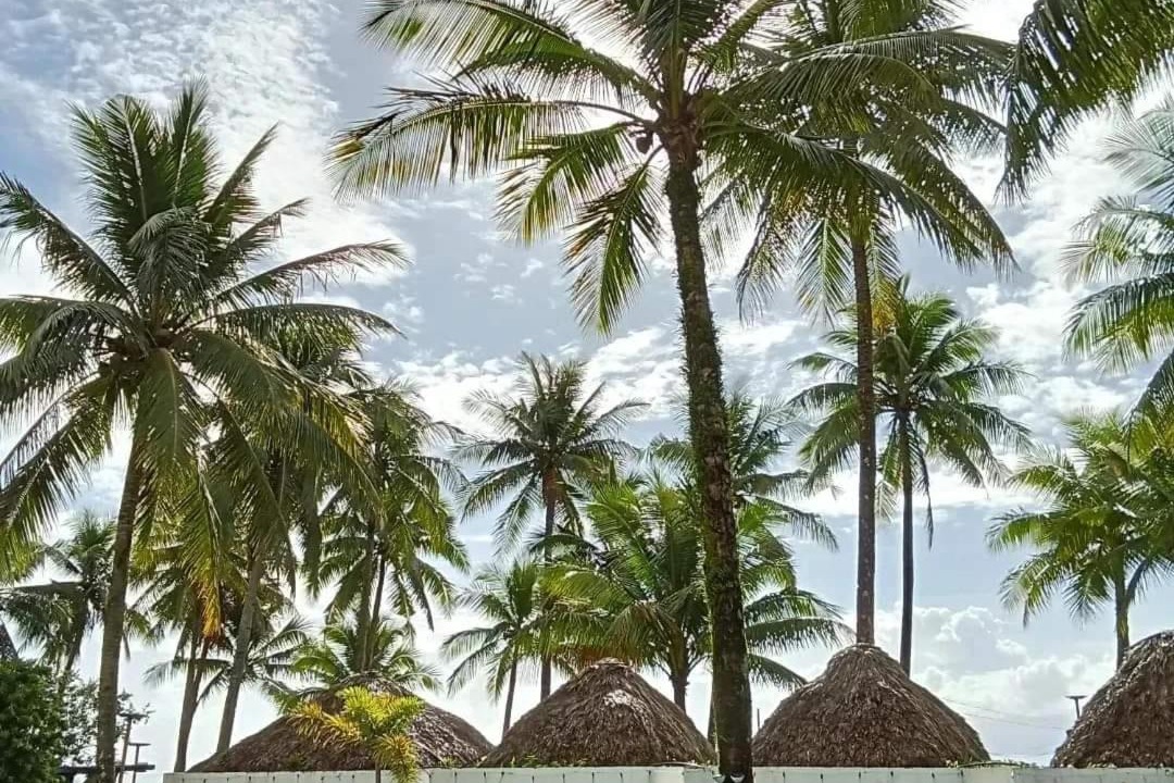 Photo of Outdoor in Calayucay