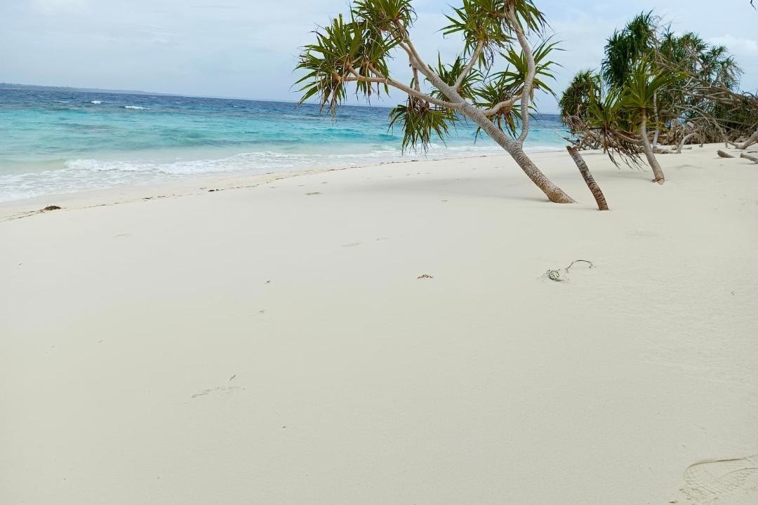 Photo of Others in Balabac
