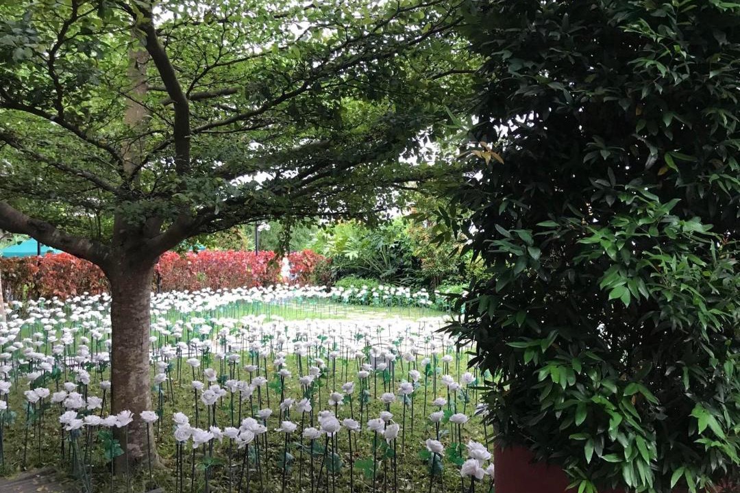 Photo of Outdoor in Laurel
