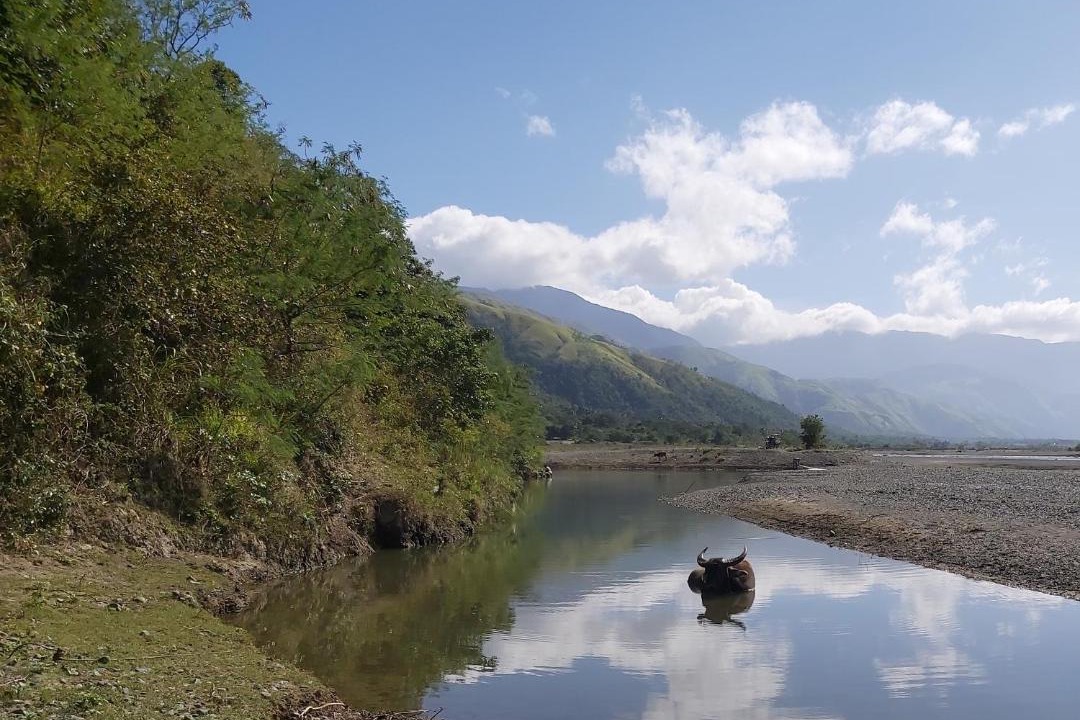 Photo of Others in Gabaldon
