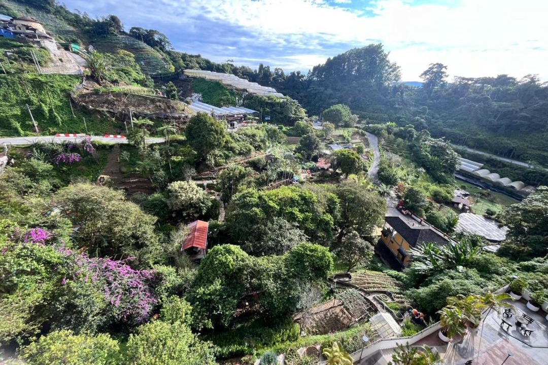 Photo of Others in Brinchang