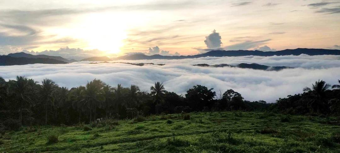 Photo of Others in Tanay