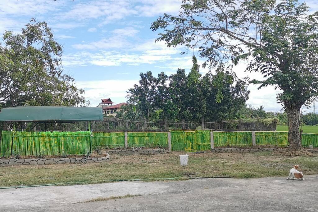 Photo of Others in Gapan City