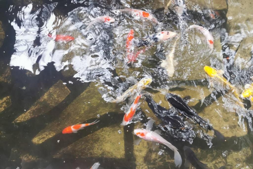 Photo of Outdoor in Gapan City