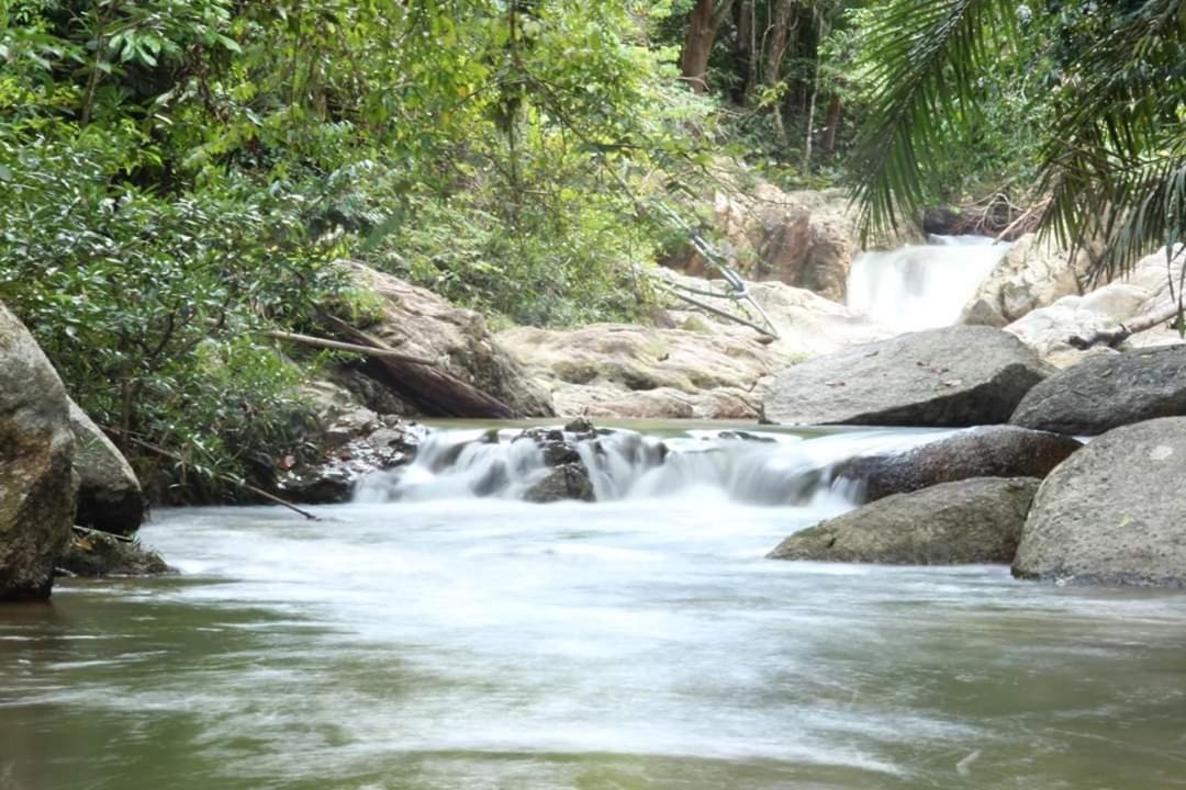 Photo of Others in Bentong