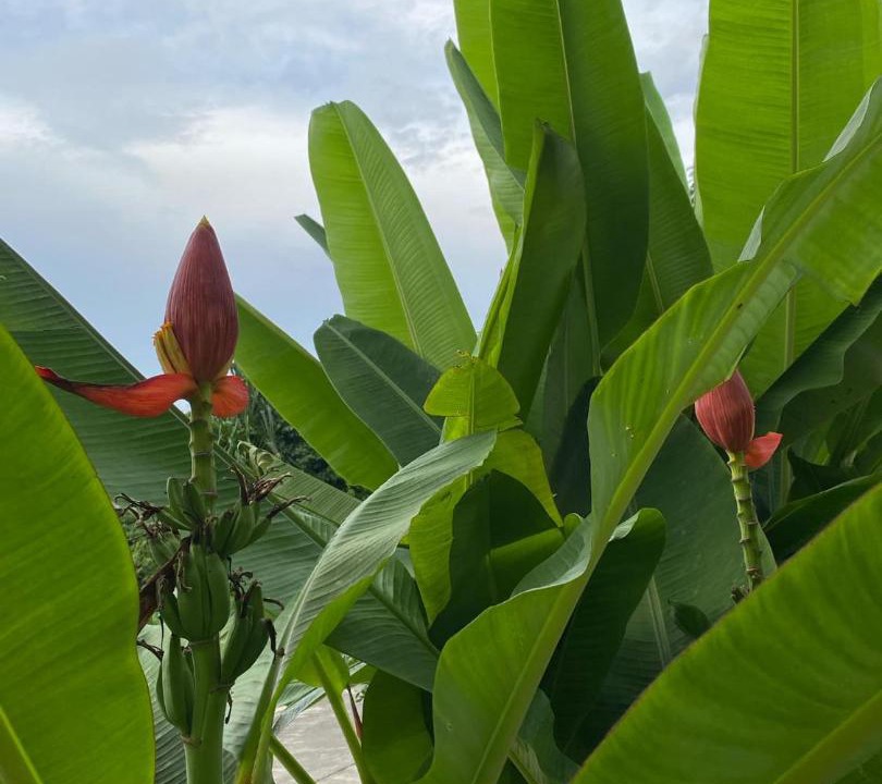 Photo of Outdoor in San Pablo