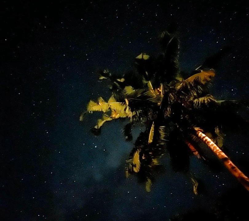 Photo of Others in Western Visayas
