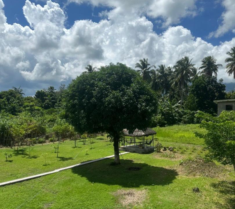 Photo of Others in Camalig