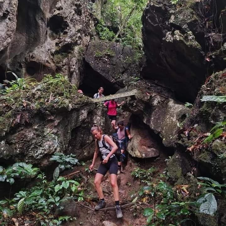 Photo of Others in Kuala Tahan