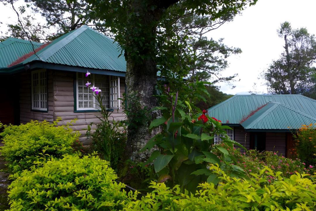 Photo of Others in Sagada