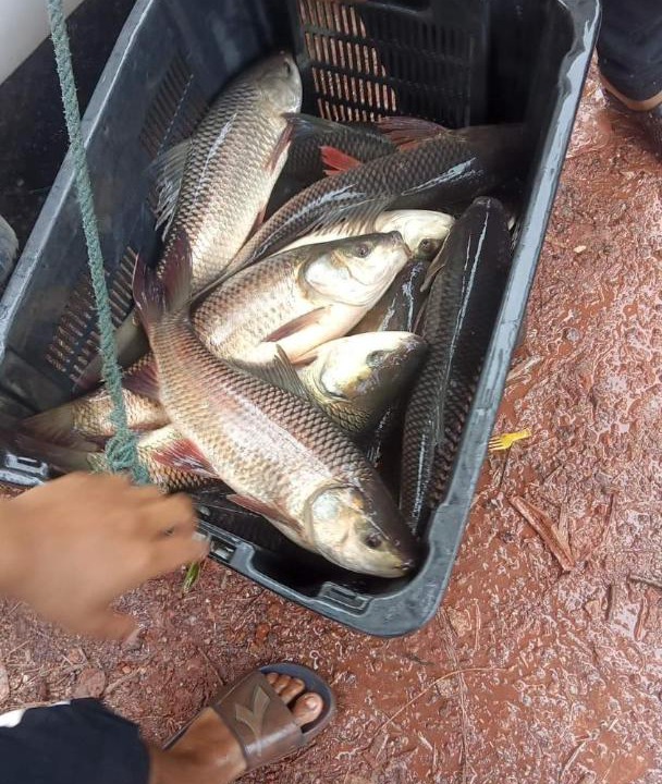 Photo of Others in Kampung Banggol Besi