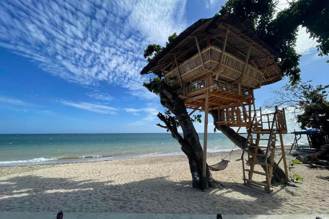 Photo of Others in Puerto Princesa