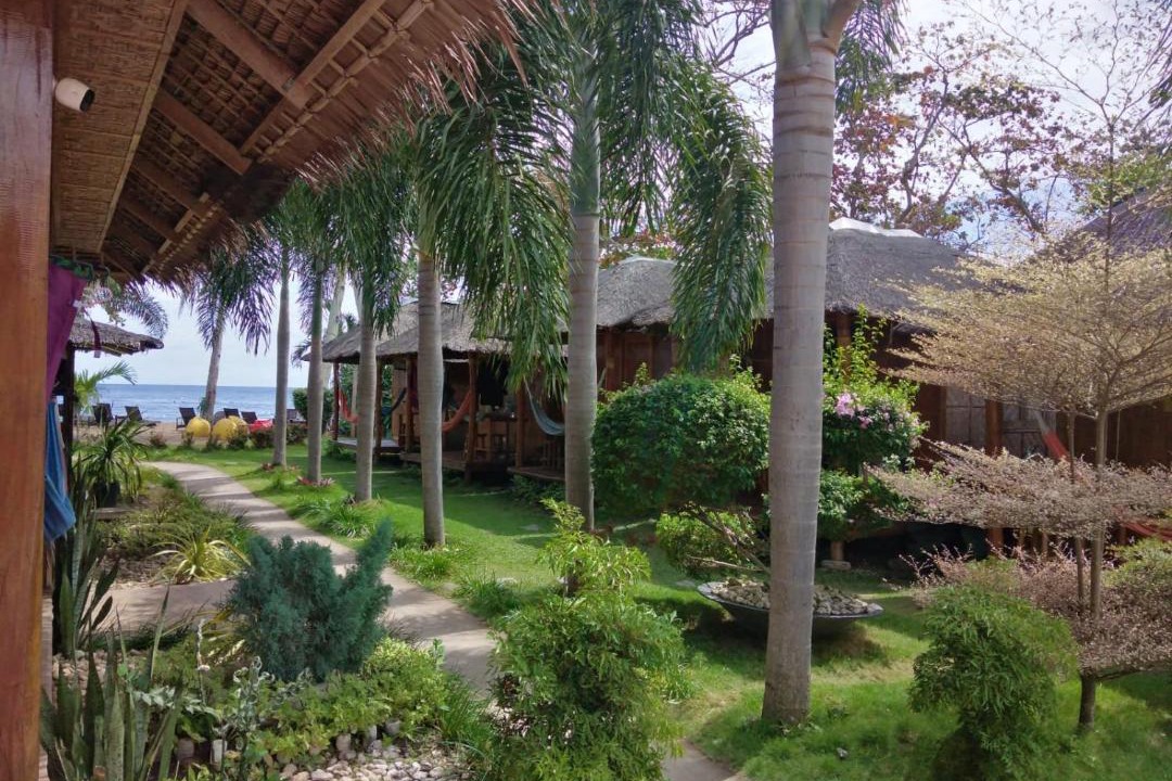 Photo of Others in Dauin