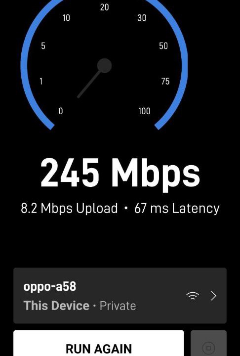 Photo of Others in Port Barton