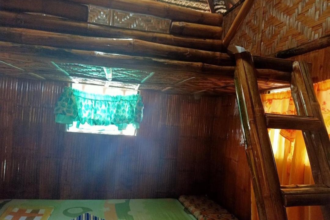 Photo of Others in Moalboal