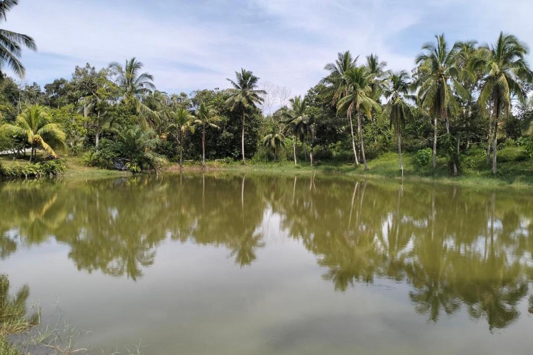Photo of Others in Kampung Bukit Koman