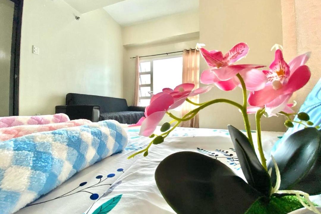 Photo of Others in Guadalupe