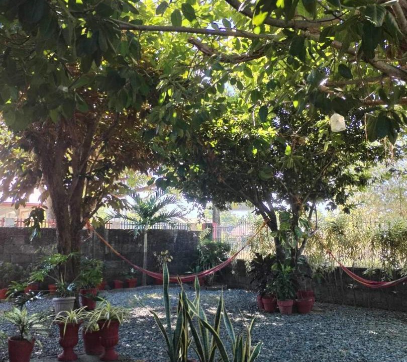 Photo of Others in Alaminos