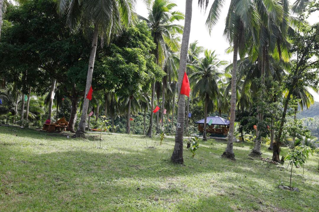 Photo of Others in Buenavista