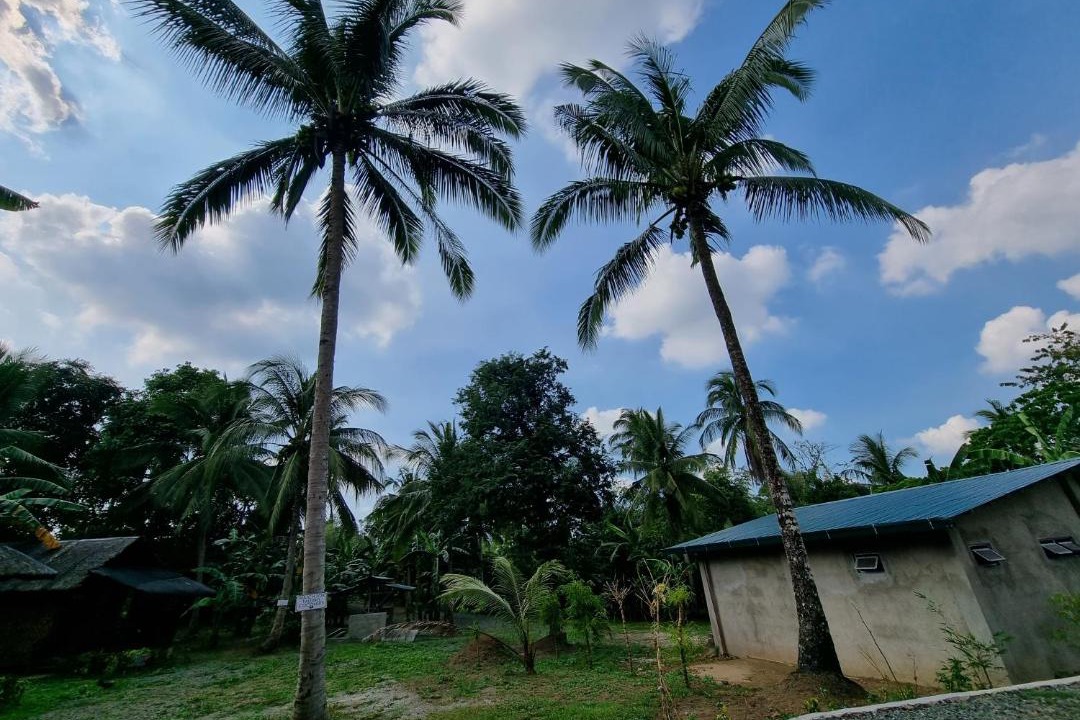 Photo of Others in Indang