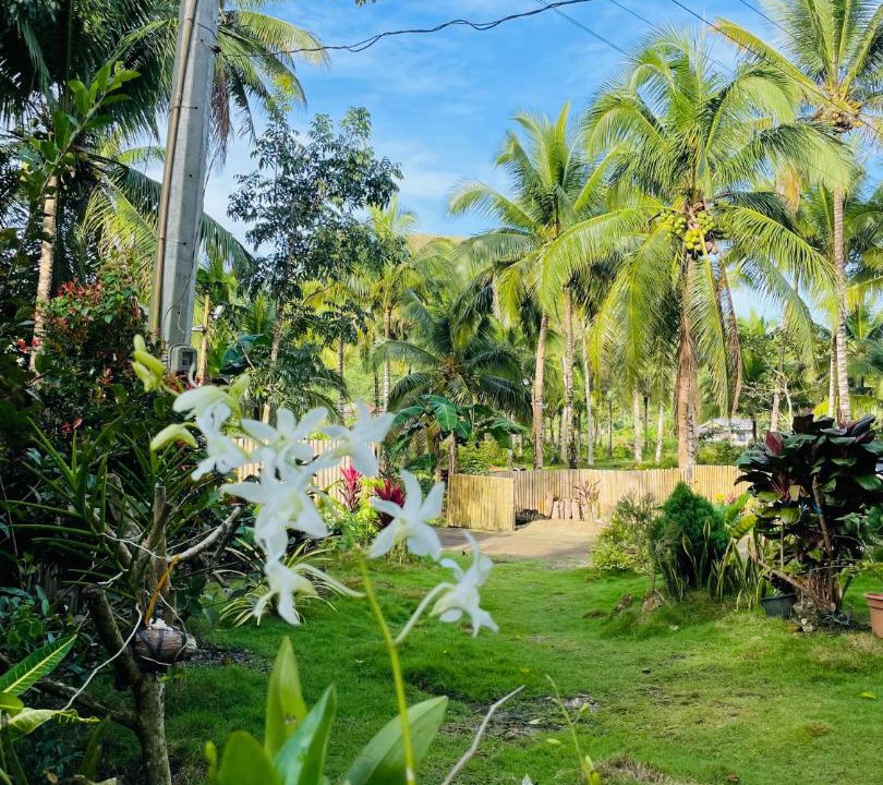 Photo of Outdoor in Carmen