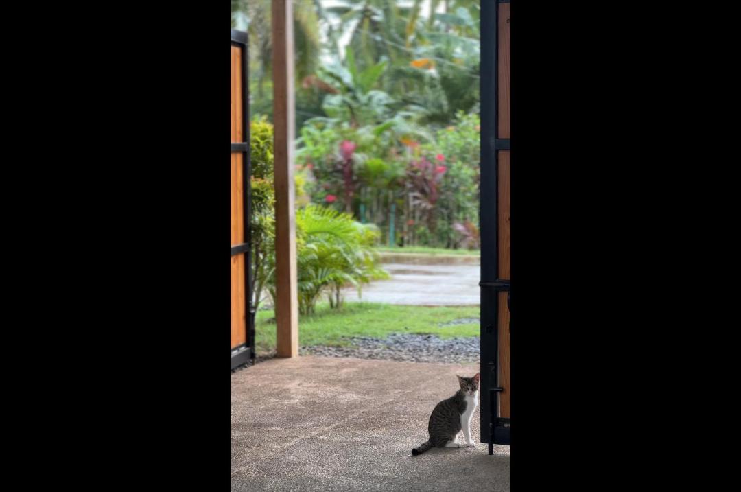 Photo of Others in Danao