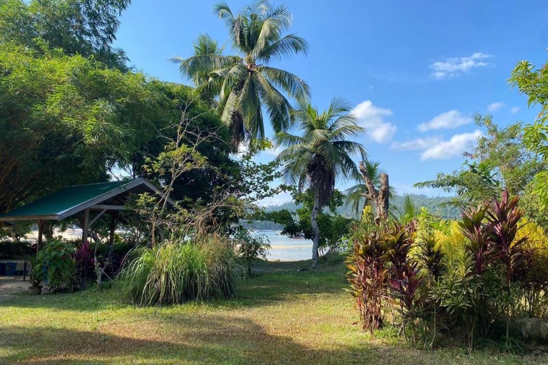 Photo of Others in Port Barton