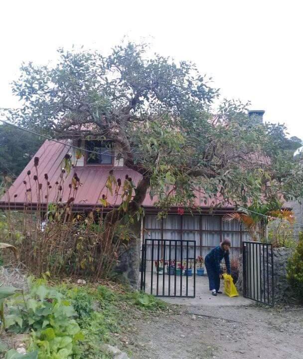 Photo of Others in Sagada