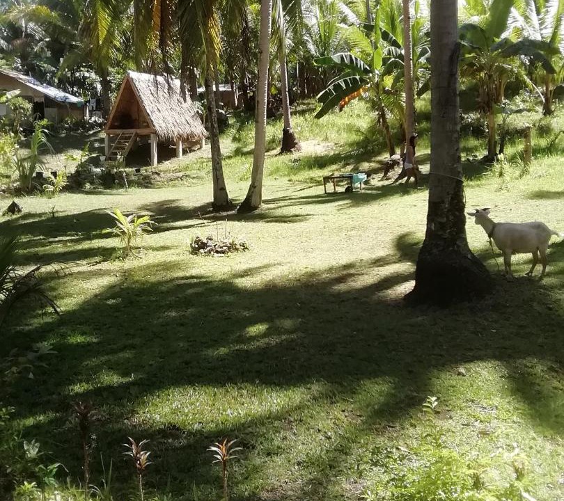 Photo of Others in Catmon