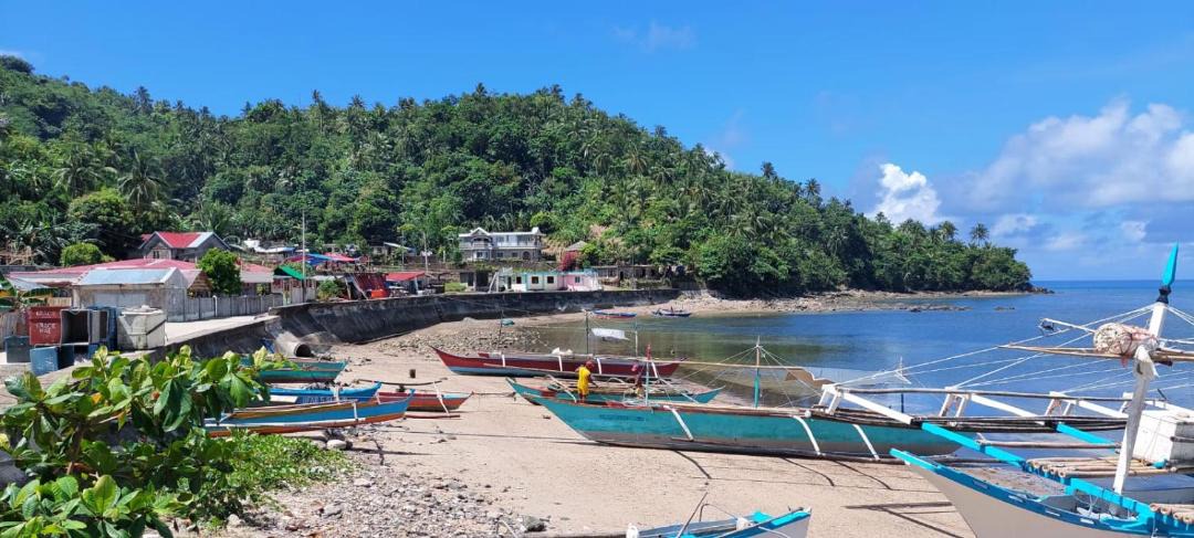 Photo of Outdoor in Bato