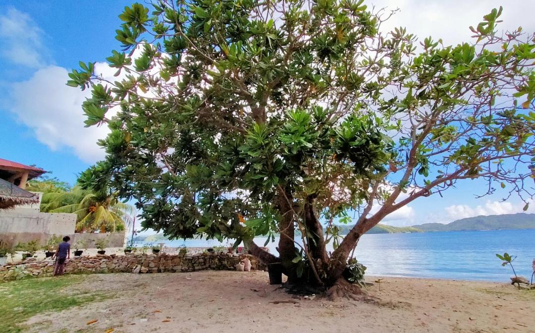 Photo of Outdoor in Romblon Island