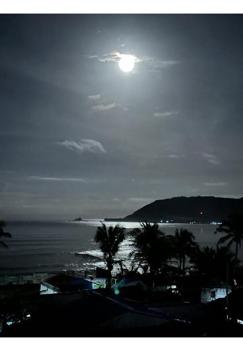 Photo of Others in Baler