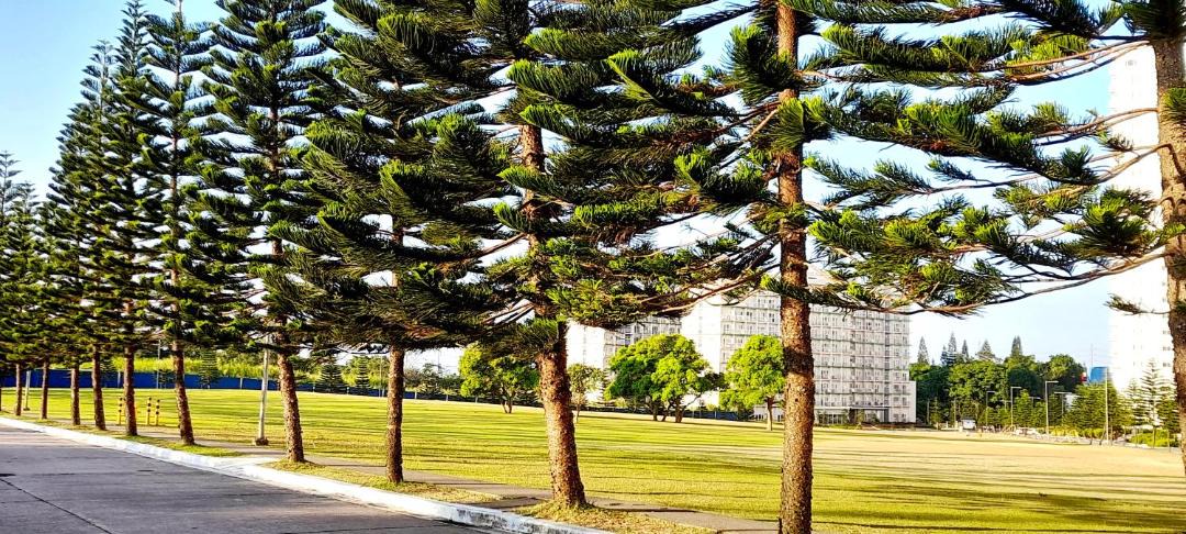 Photo of Others in Silang Junction North