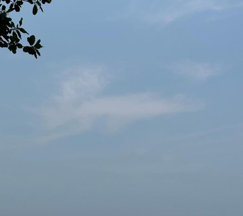 Photo of Others in Bauang