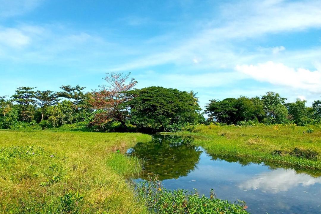 Photo of Others in Tibiao