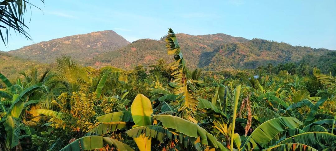 Photo of Outdoor in Bulalacao