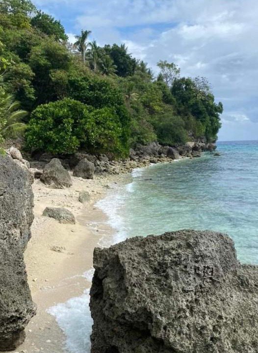 Photo of Others in Oslob
