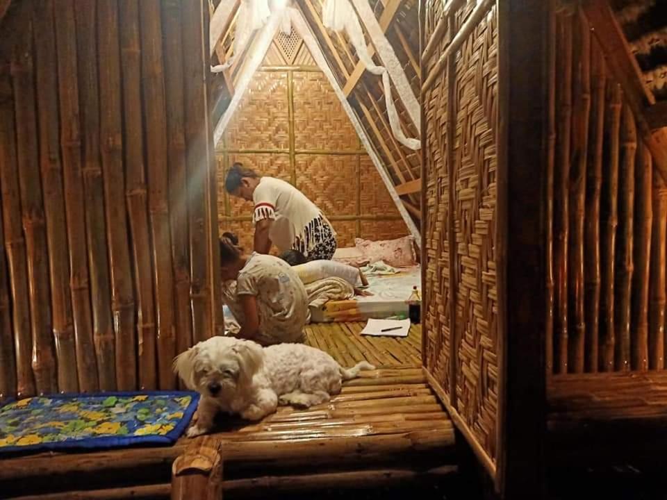 Photo of Others in Moalboal