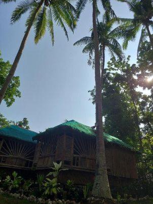 Photo of Others in Panglao