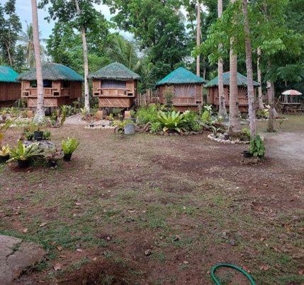 Photo of Others in Panglao